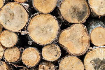 Pile of wood logs ready for winter