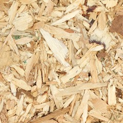 Particle Board
