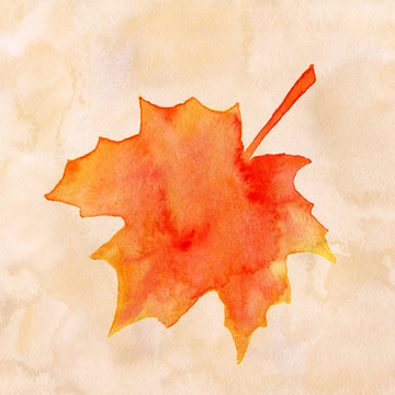 Watercolor maple leaf