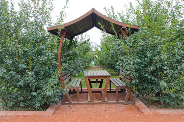 Outdoor wooden gazebo
