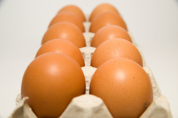 Chicken eggs in the package for sale on over white