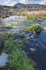 Rio Alberche en Cebreros. Avila