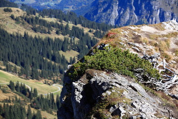 Blick von der Kanzelwand