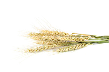 Sheaf of wheat ears on white background.