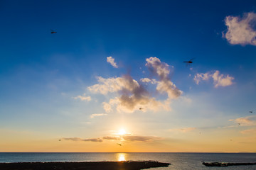 夕焼けと赤とんぼ © imacoconut