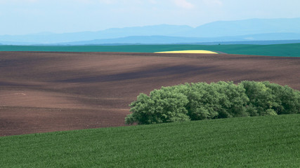 Countryside of Moravia