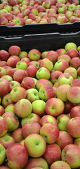 Apples in a Storage Compartment