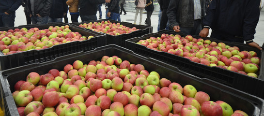Apples in a Storage Compartment