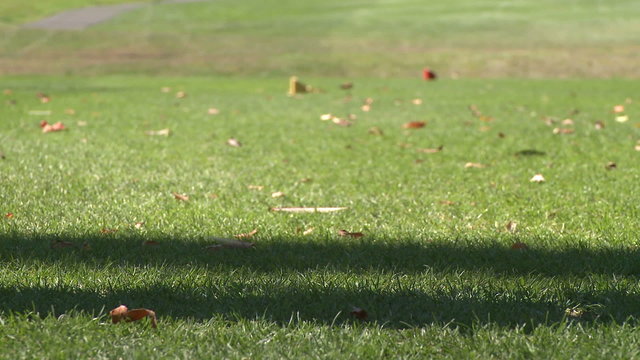 Driver from tee box