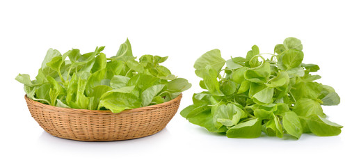 spinach on white background