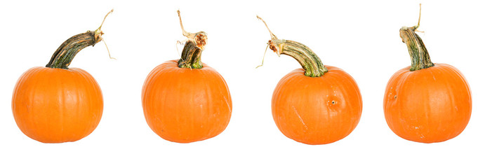 Pumpkin:
