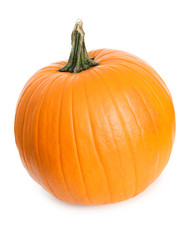 Pumpkin: Single Pumpkin on White