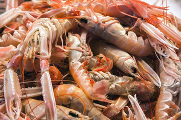 fresh prawns and shrimps for sale in fish market, Venice, Italy, Europe