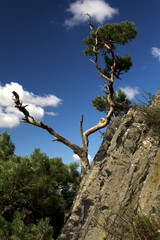 landscape around the high cliffs