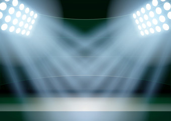 Background for posters night fencing stadium in the spotlight. 