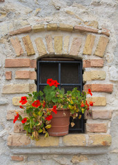 Fototapeta na wymiar Finestra di una casa con un vaso di fiori rossi