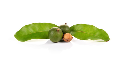 macadamia nuts on white background