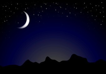 Obraz na płótnie Canvas Dark moonlight night background