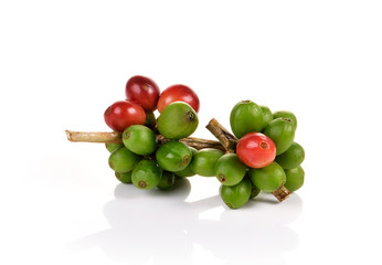 fresh coffee beans isolated on white background