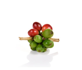 fresh coffee beans isolated on white background