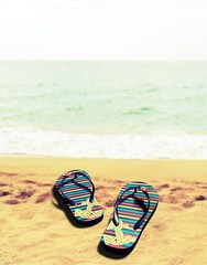 Naklejka premium Flip-flop.