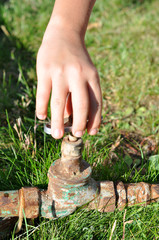 Fototapete bei efototapeten.de bestellen   