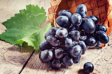 Dark grapes in birch wicker basket on an old wooden table, selec