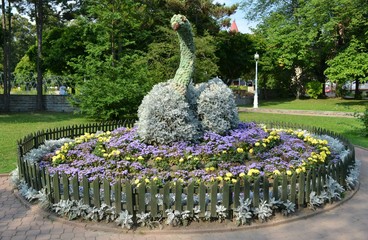 Krynica Zdrój, łabędź z kwiatów © Marta