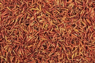Dried flowers of saffron, a spice
