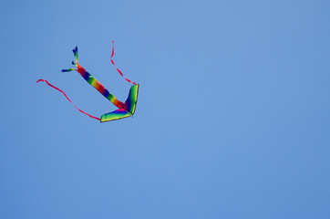 flying kite