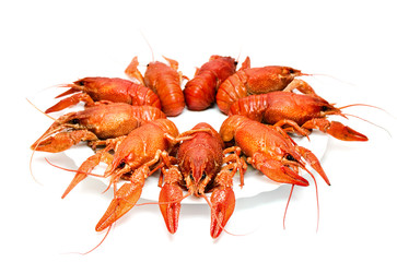 Crawfishes on the plate isolated on white background