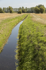 Wassergraben im Feld