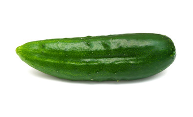 Cucumber