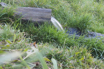 Родничок в деревянном желобе