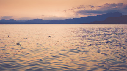 Fototapeta na wymiar Beautiful sunset at Garda lake, Italy