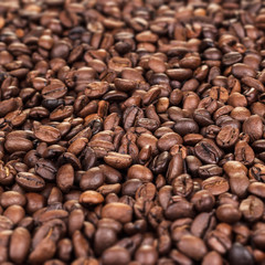 coffee beans on the table