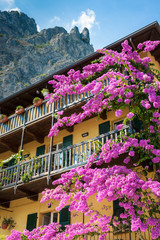 Bougainvillea Flowers at Sirmione Lake Garda Italy, © fotografiecor