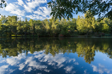 Trees and sky reflected on the surface of a pond. Nature photogr