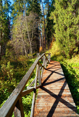 Autumn in park