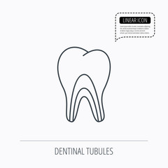 Dentinal tubules icon. Tooth medicine sign.