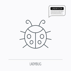 Ladybug icon. Ladybird insect sign.