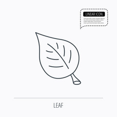 Leaf icon. Natural eco sign.