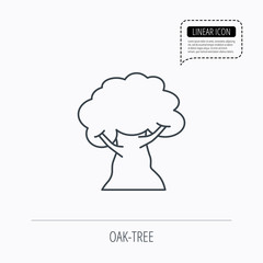Oak tree icon. Forest wood sign.