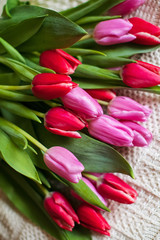 a bouquet of red and pink tulips