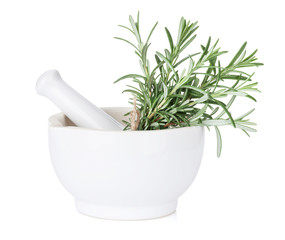 Fresh garden rosemary in mortar