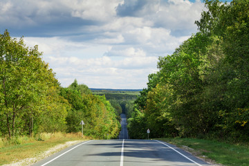 Road through the forest