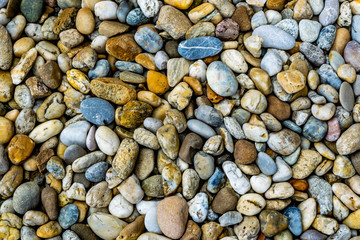 Colorful multicolored small garden pebbles
