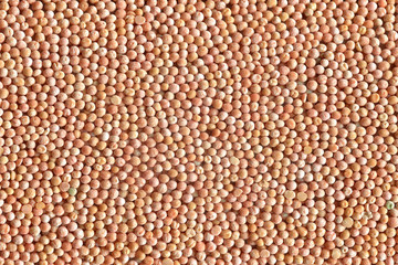 Grains peas