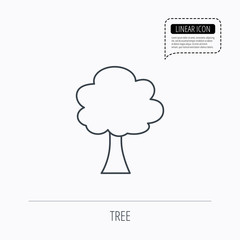 Tree icon. Forest wood sign.