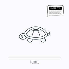 Turtle icon. Tortoise sign.